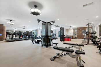 A gym with a variety of equipment including treadmills, weights, and exercise machines.